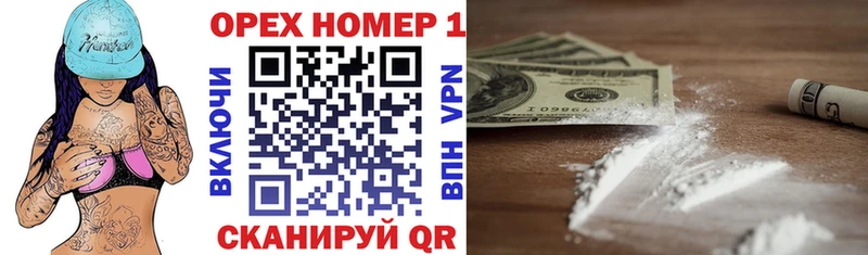 Cocaine Fish Scale  Купить закладки  Суворов 