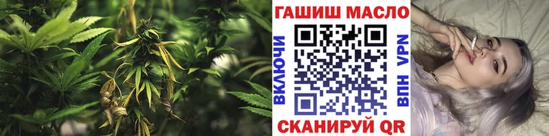 Купить где  Суворов  Дистиллят ТГК вейп 